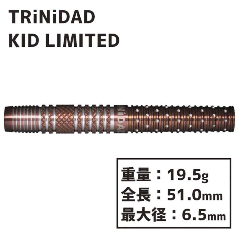 Billaresbalsalobre Dardos Trinidad Darts Kid Tomoya Goto Soft tip 19.5gr 95% E.Limitada - Imagen 2