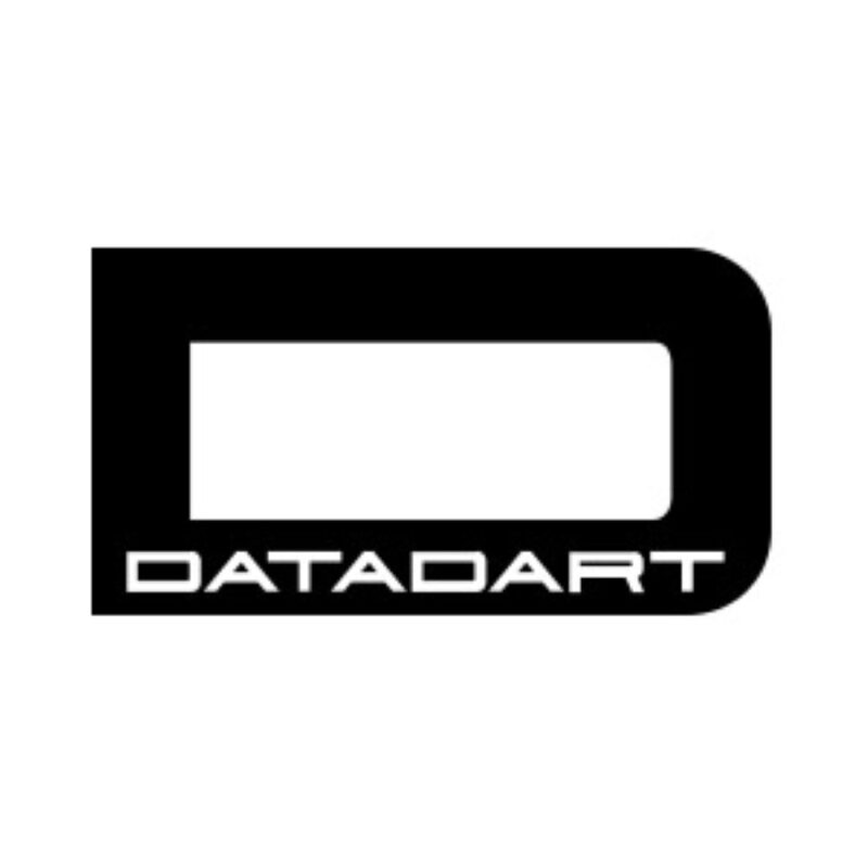 Dardos Datadart P.Acero